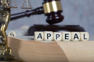 Helotes Family Law Appeals Lawyer